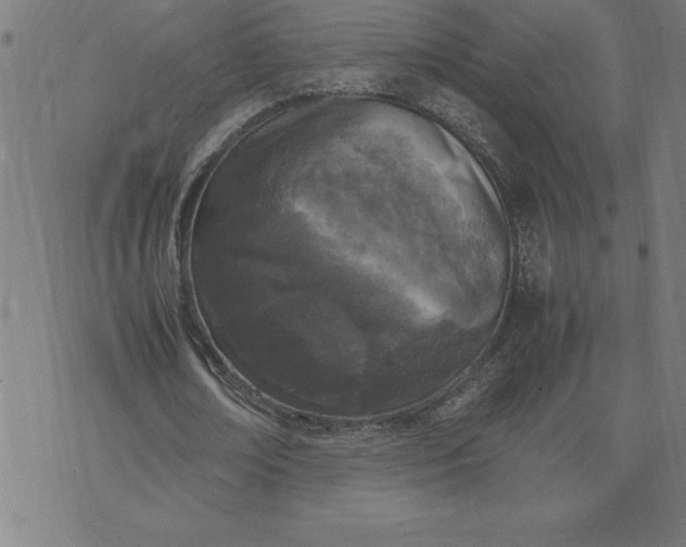 X0000072550674200607281649