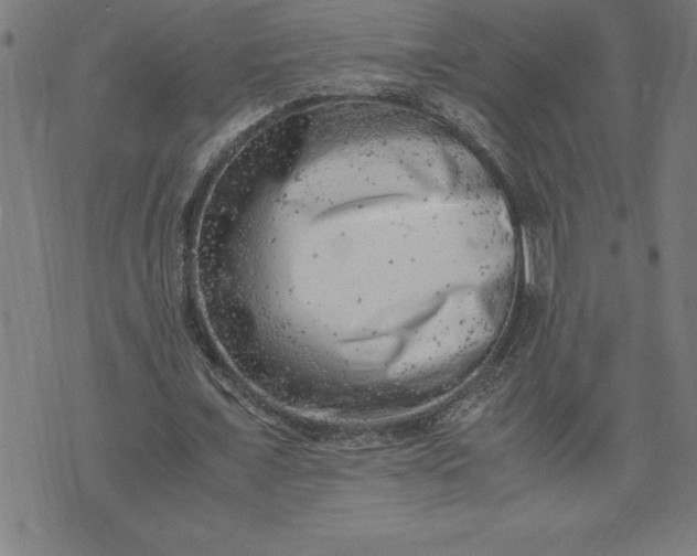 X0000072550675200607281649