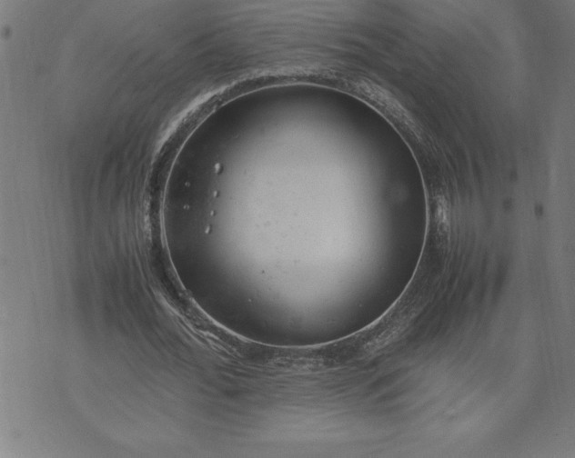 X0000072550676200607281649