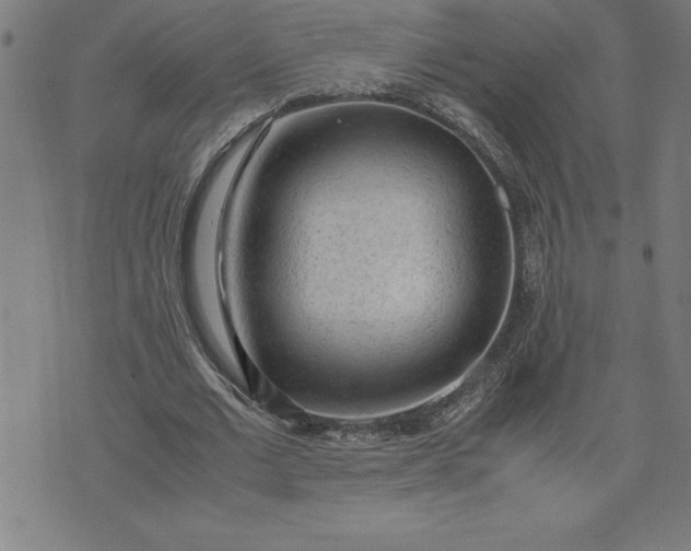 X0000072550677200607281649