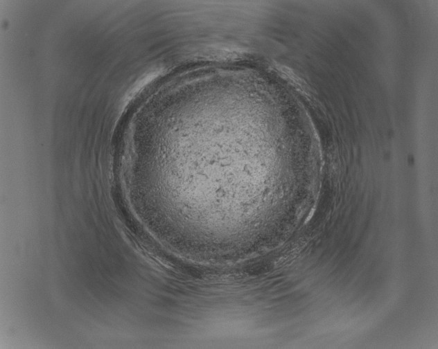 X0000072550679200607281649