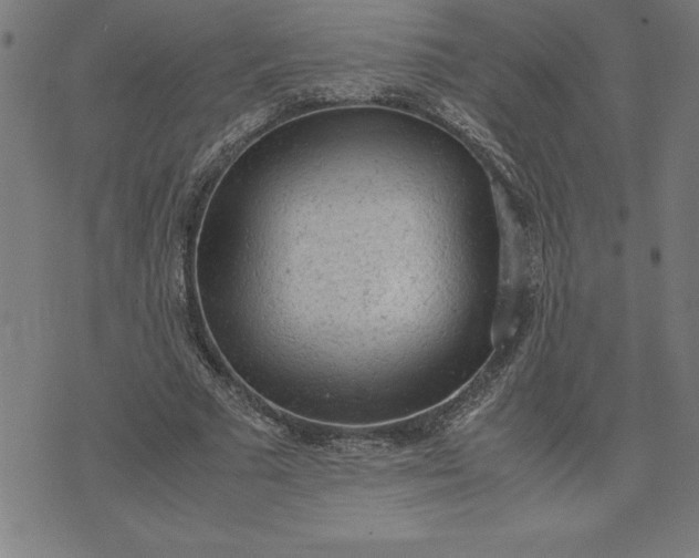 X0000072550681200607281649