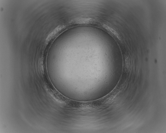 X0000072550682200607281649