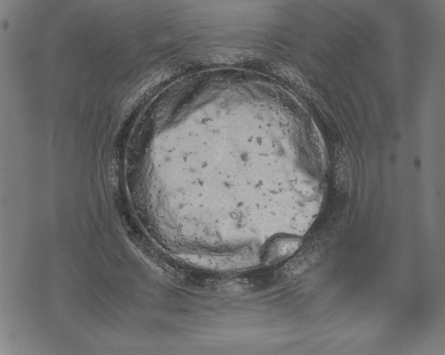 X0000072550683200607281649