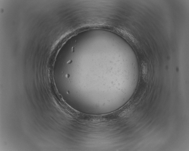 X0000072550684200607281649