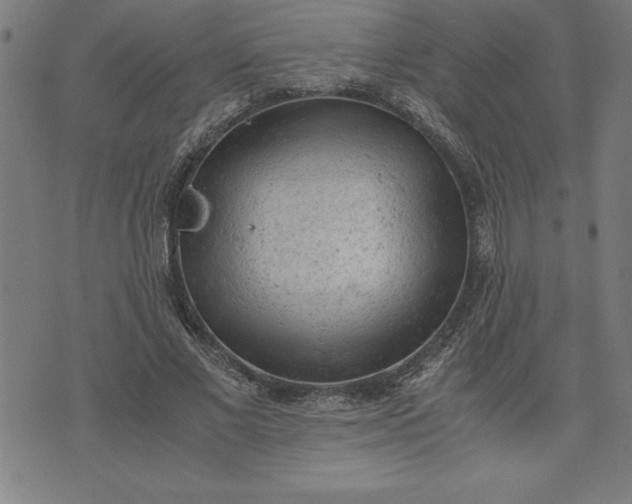 X0000072550685200607281649