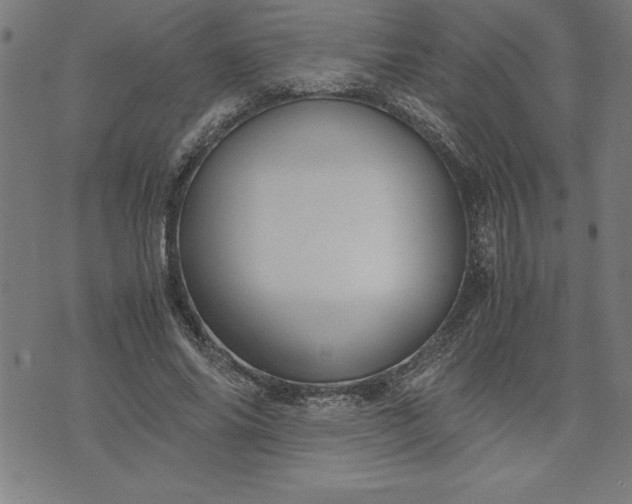 X0000072550686200607281649