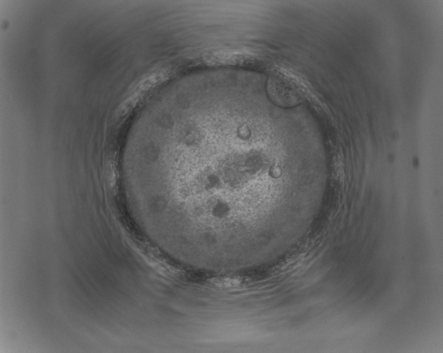 X0000072550687200607281649