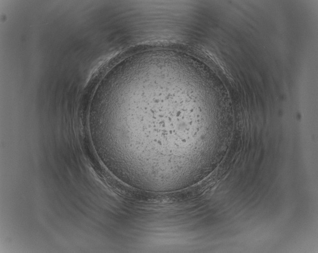 X0000072550688200607281649