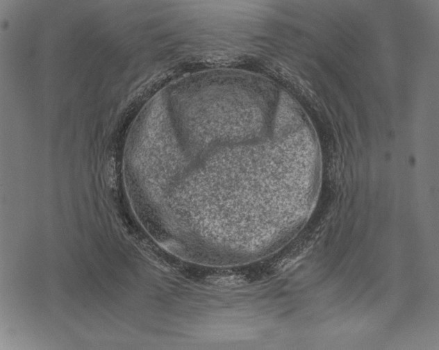 X0000072550689200607281649