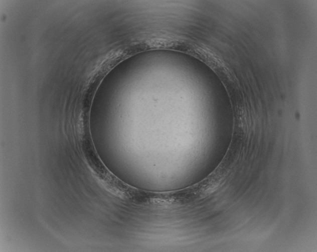 X0000072550690200607281649