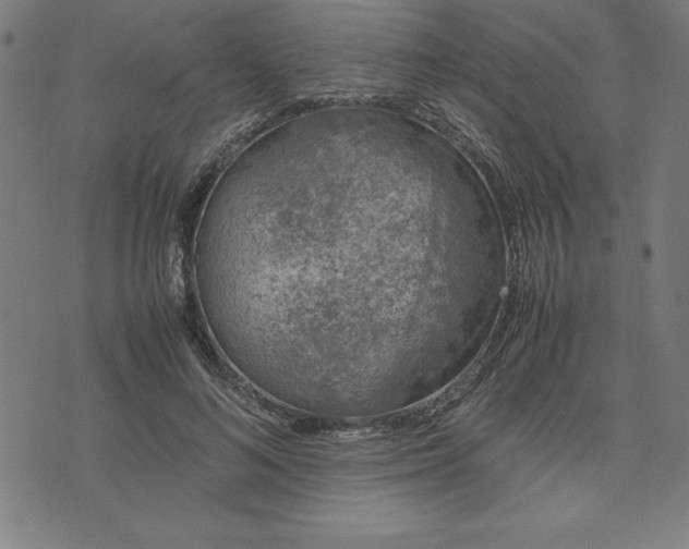 X0000072550692200607281649