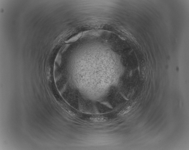 X0000072550693200607281649