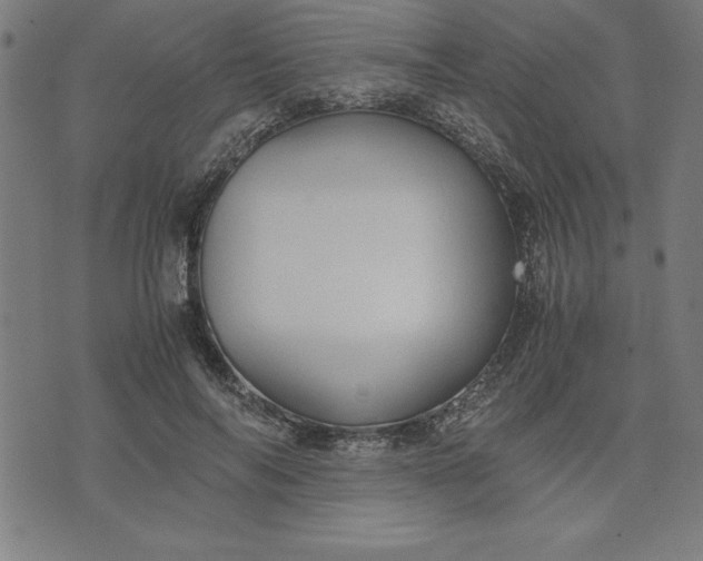 X0000072550694200607281649