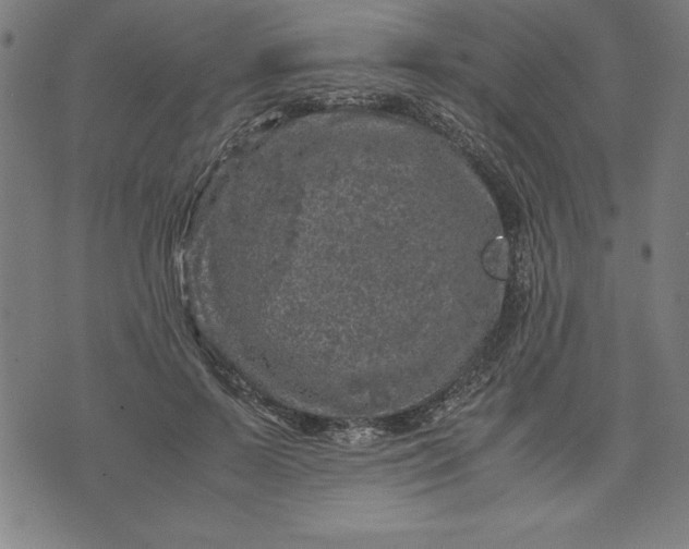 X0000072550695200607281649