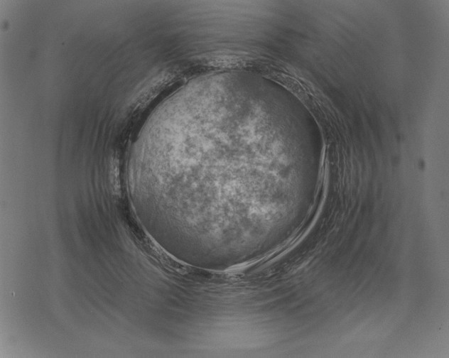 X0000072550696200607281649