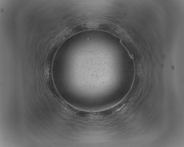 X0000072550697200607281649