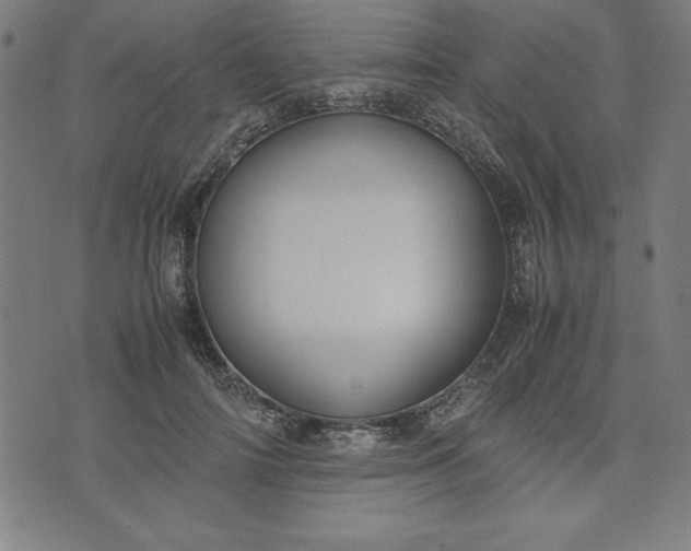 X0000072550698200607281649