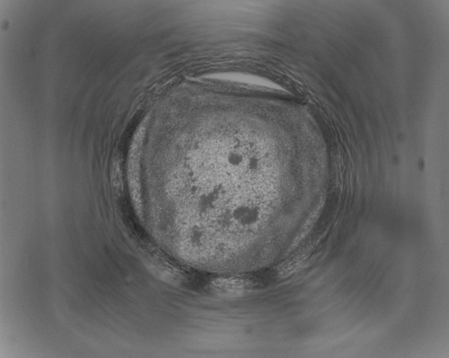 X0000072550699200607281649