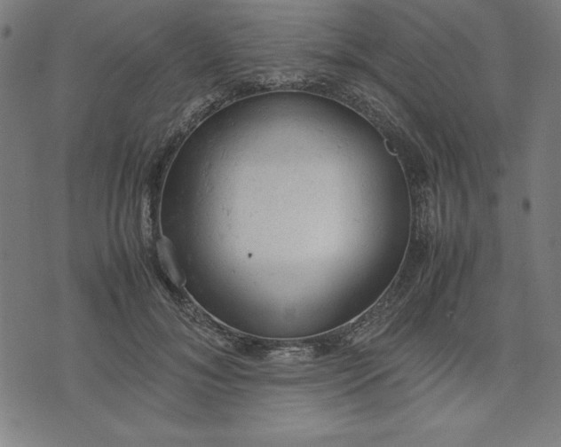 X0000072550700200607281649