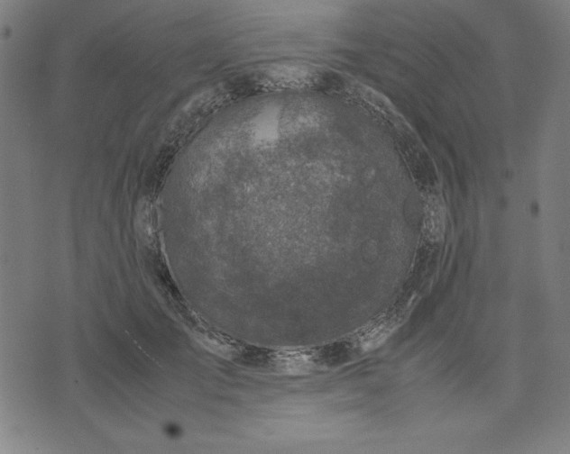 X0000072550701200607281649