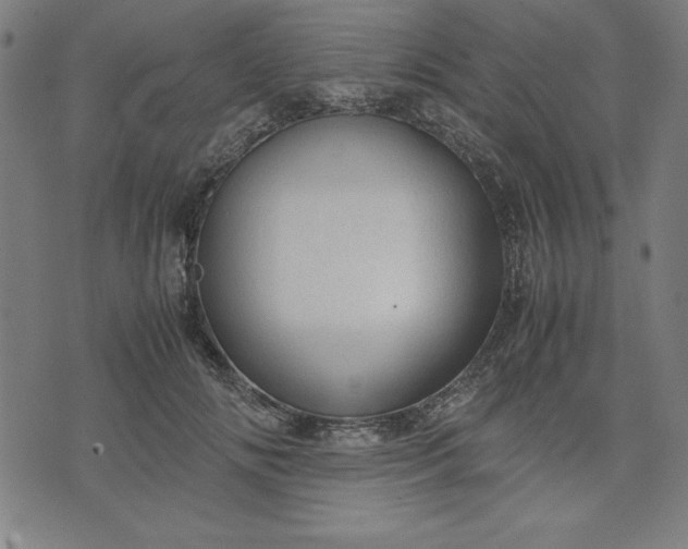 X0000072550702200607281649