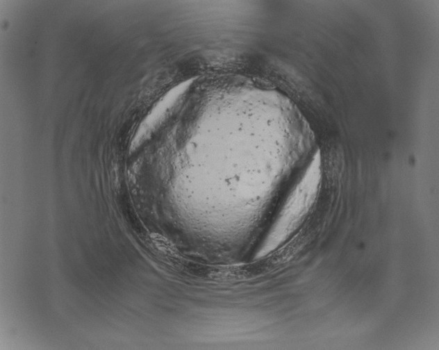 X0000072550703200607281649