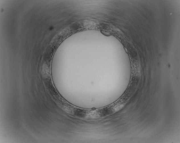 X0000072550705200607281649