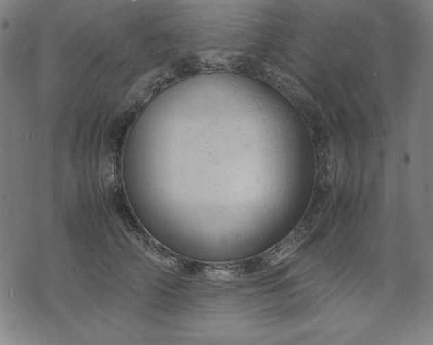 X0000072550706200607281649