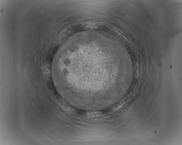 X0000072550707200607281649