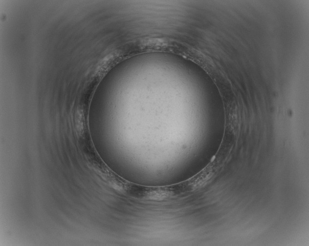 X0000072550708200607281649