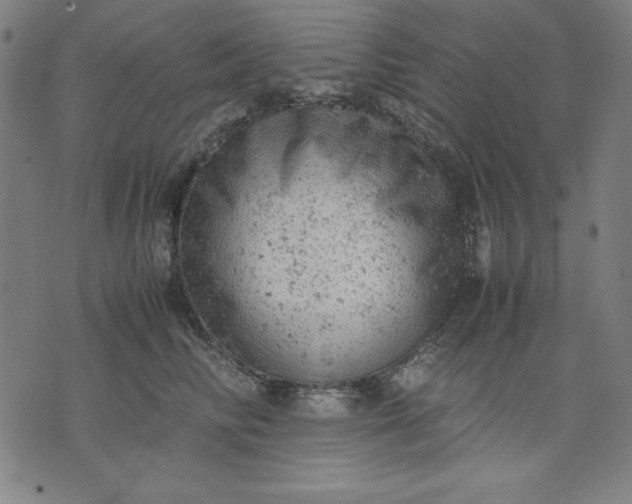 X0000072550710200607281649