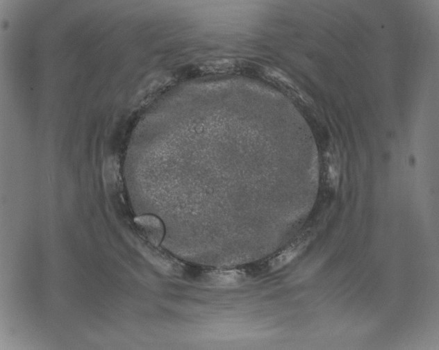 X0000072550711200607281649