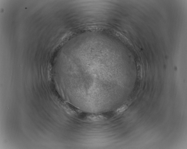 X0000072550712200607281649