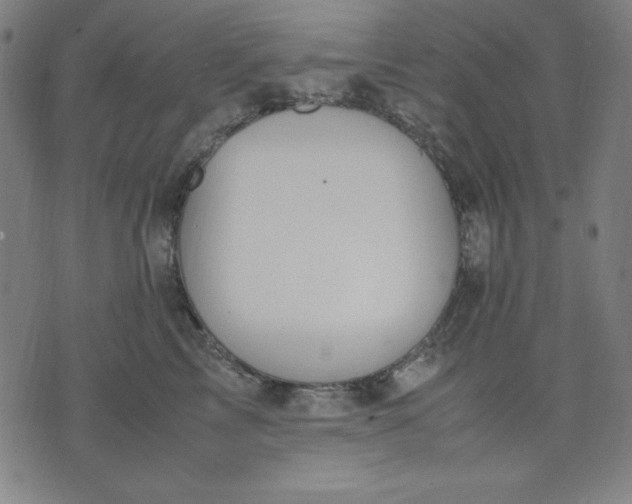 X0000072550713200607281649