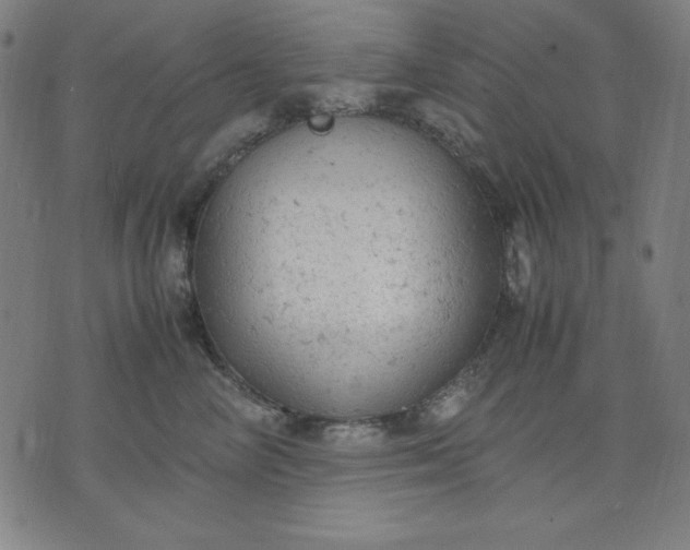 X0000072550714200607281649