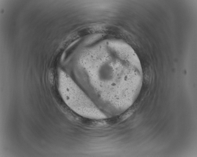 X0000072550715200607281649