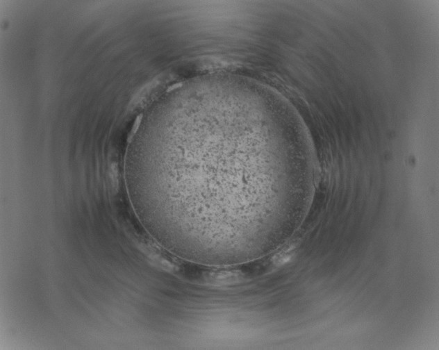 X0000072550716200607281649