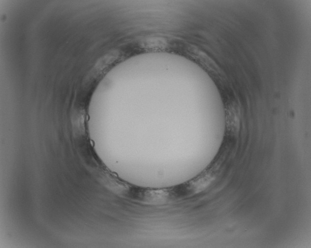 X0000072550717200607281649