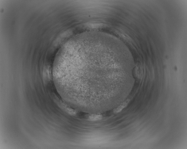 X0000072550718200607281649