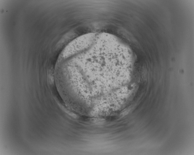 X0000072550719200607281648