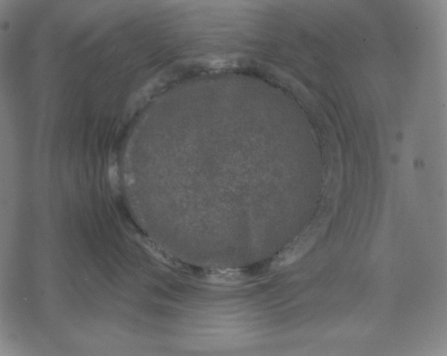 X0000072550720200607281648