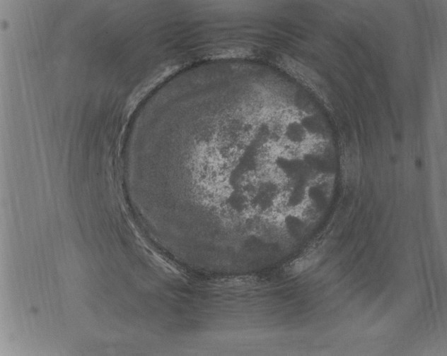 X0000072550721200607281648