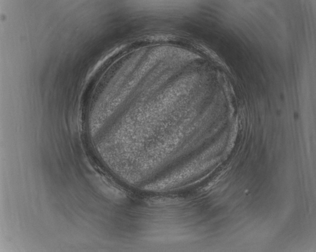 X0000072550722200607281648