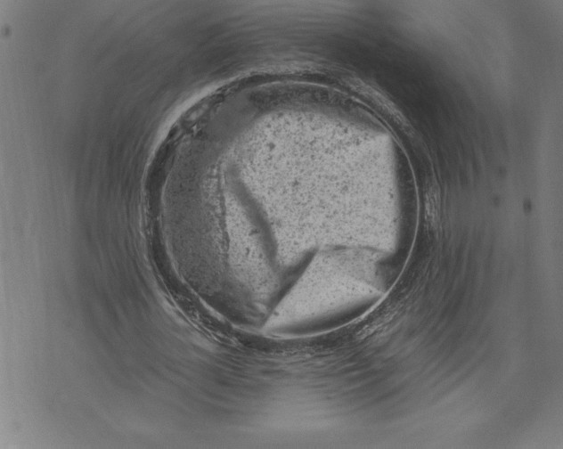 X0000072550724200607281648