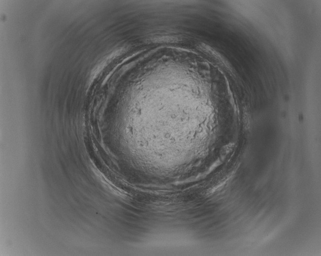 X0000072550725200607281648