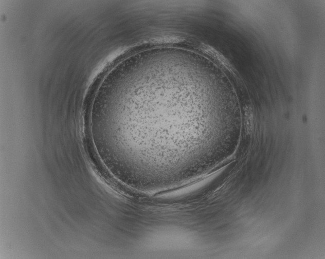 X0000072550726200607281648