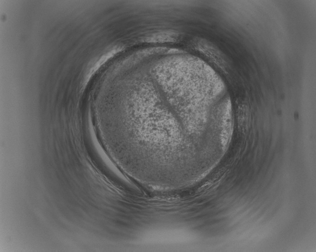 X0000072550727200607281648