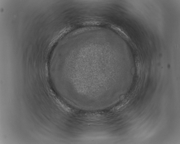 X0000072550729200607281648