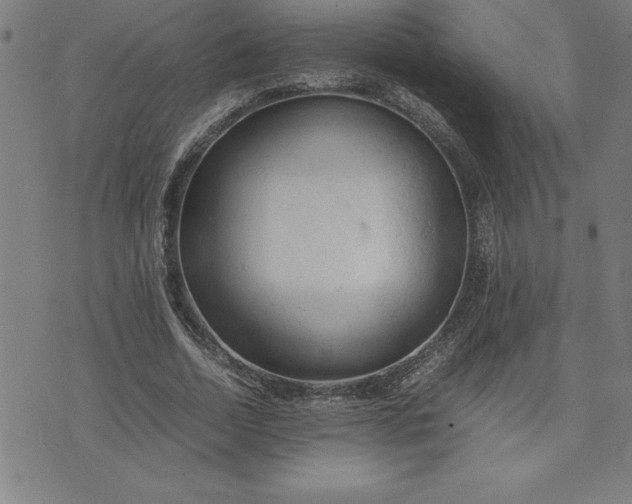 X0000072550730200607281648